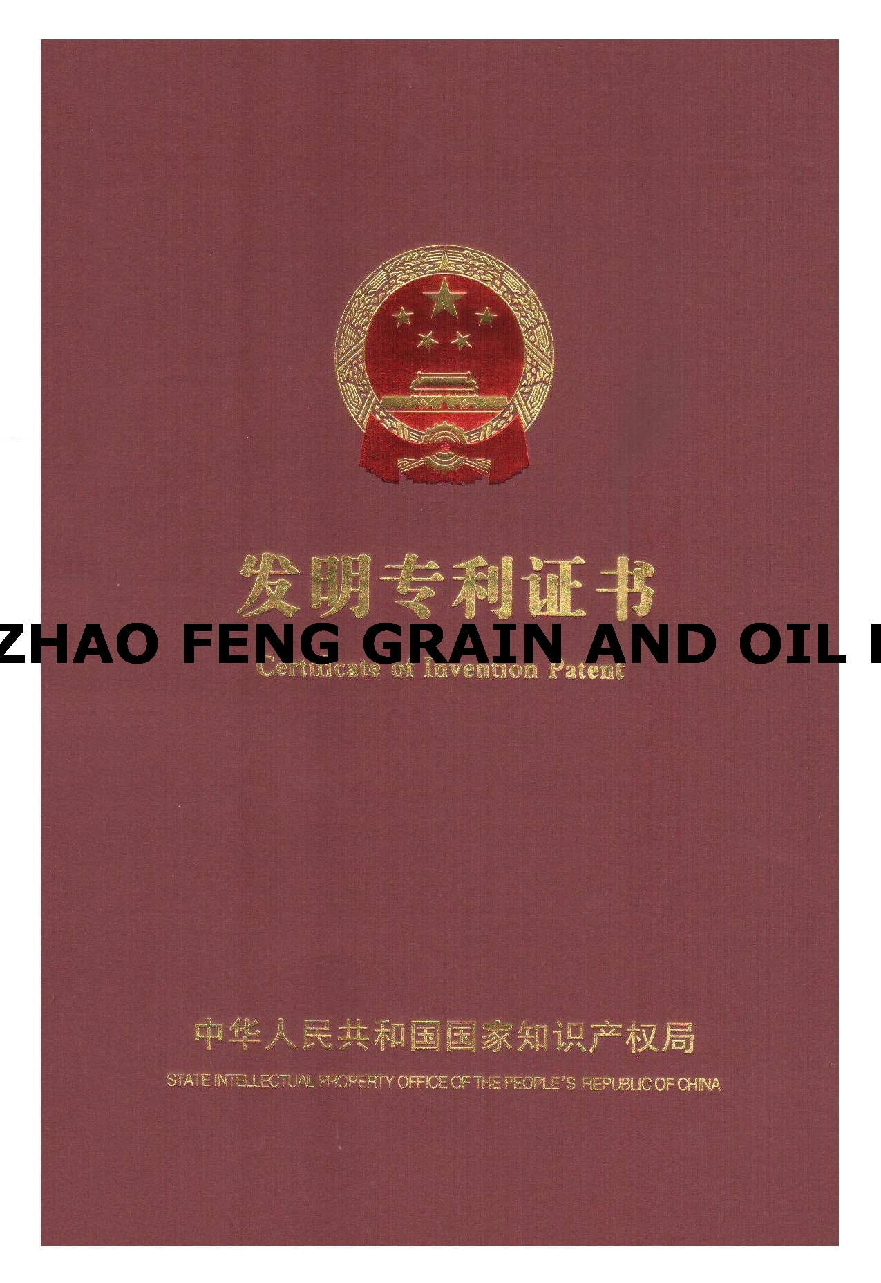 專(zhuān)利封面1.jpg